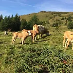 Nagerhof Farm stay
