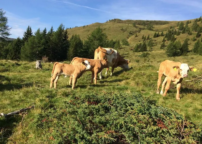 Nagerhof ファームステイ